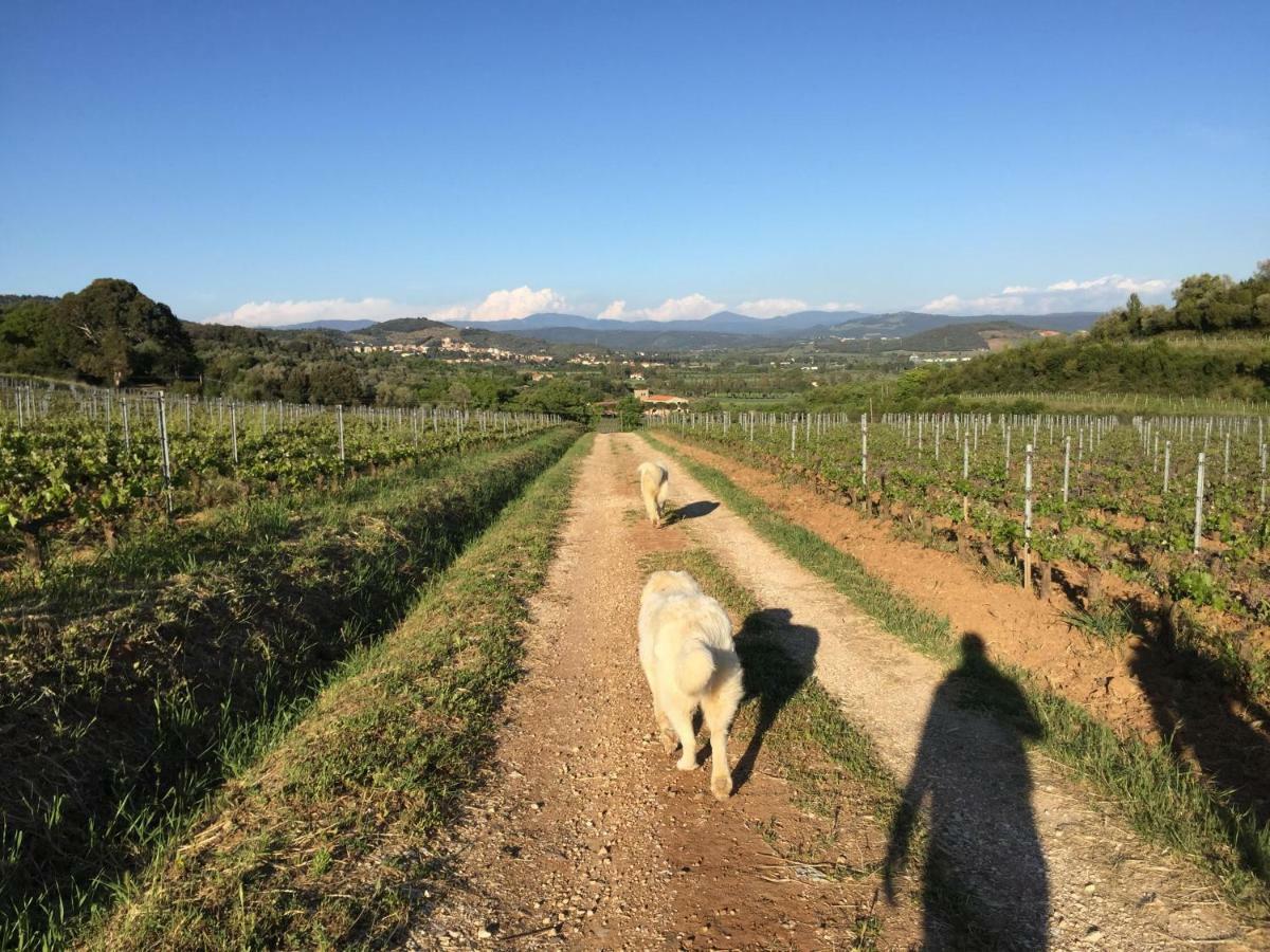 Podere Baloo Suvereto Villa Esterno foto